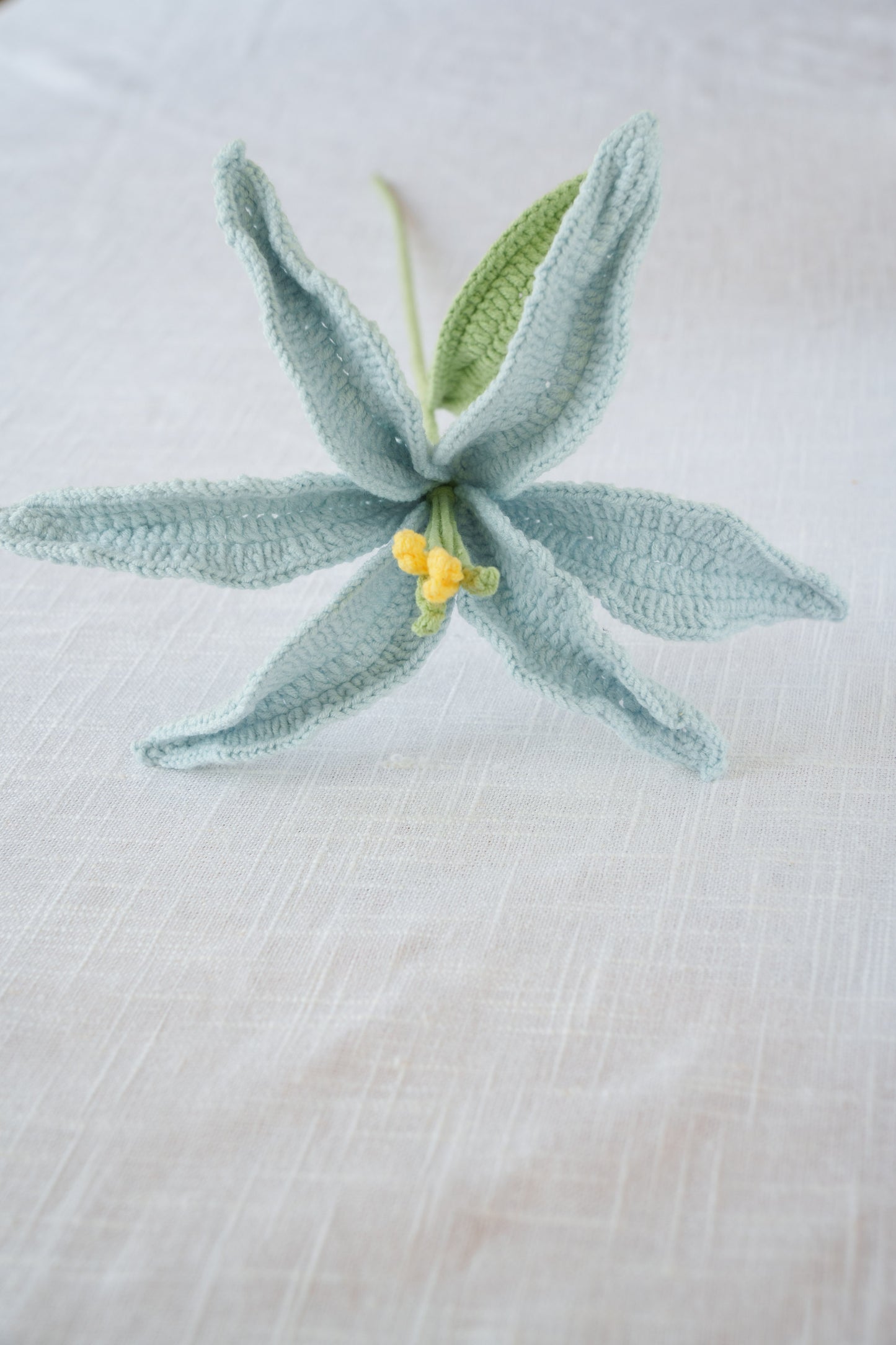 blue lily