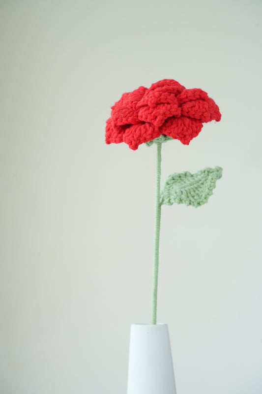 red rose