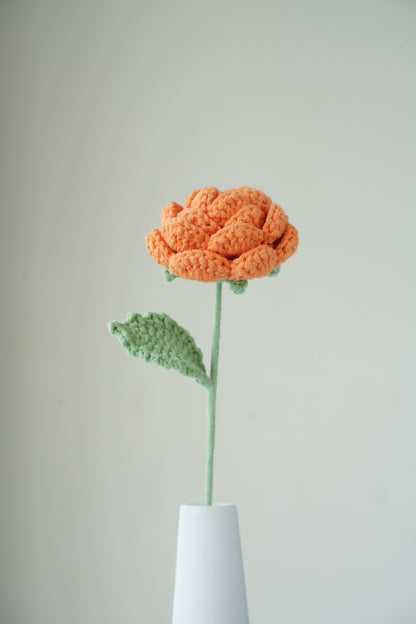 orange rose