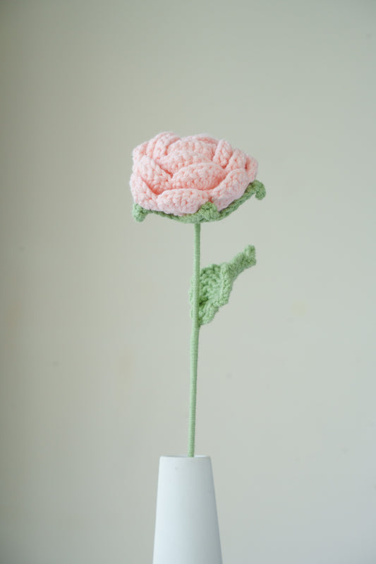 pink rose