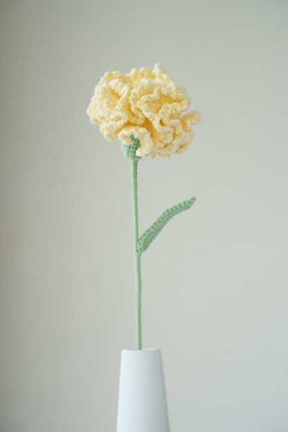 yellow carnation