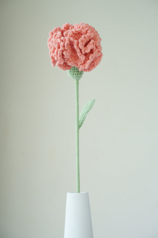 orange carnation