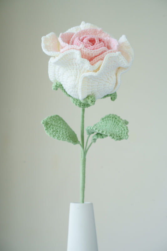 large pink gradient thai rose