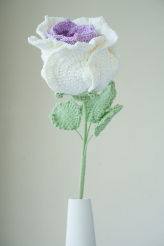 large purple gradient thai rose