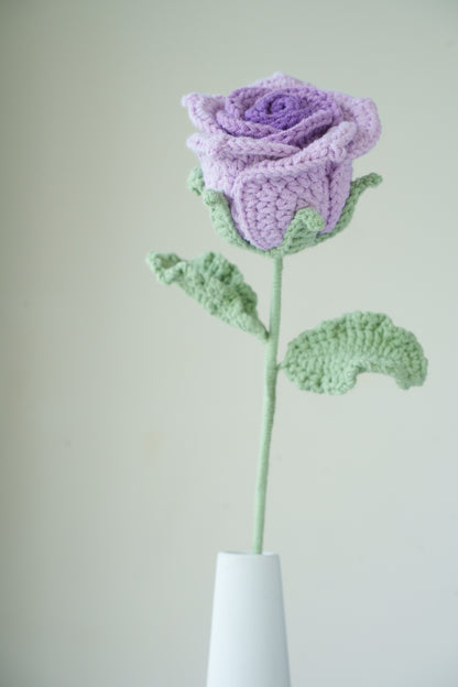 purple gradient thai rose