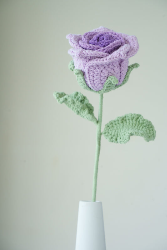 purple gradient thai rose