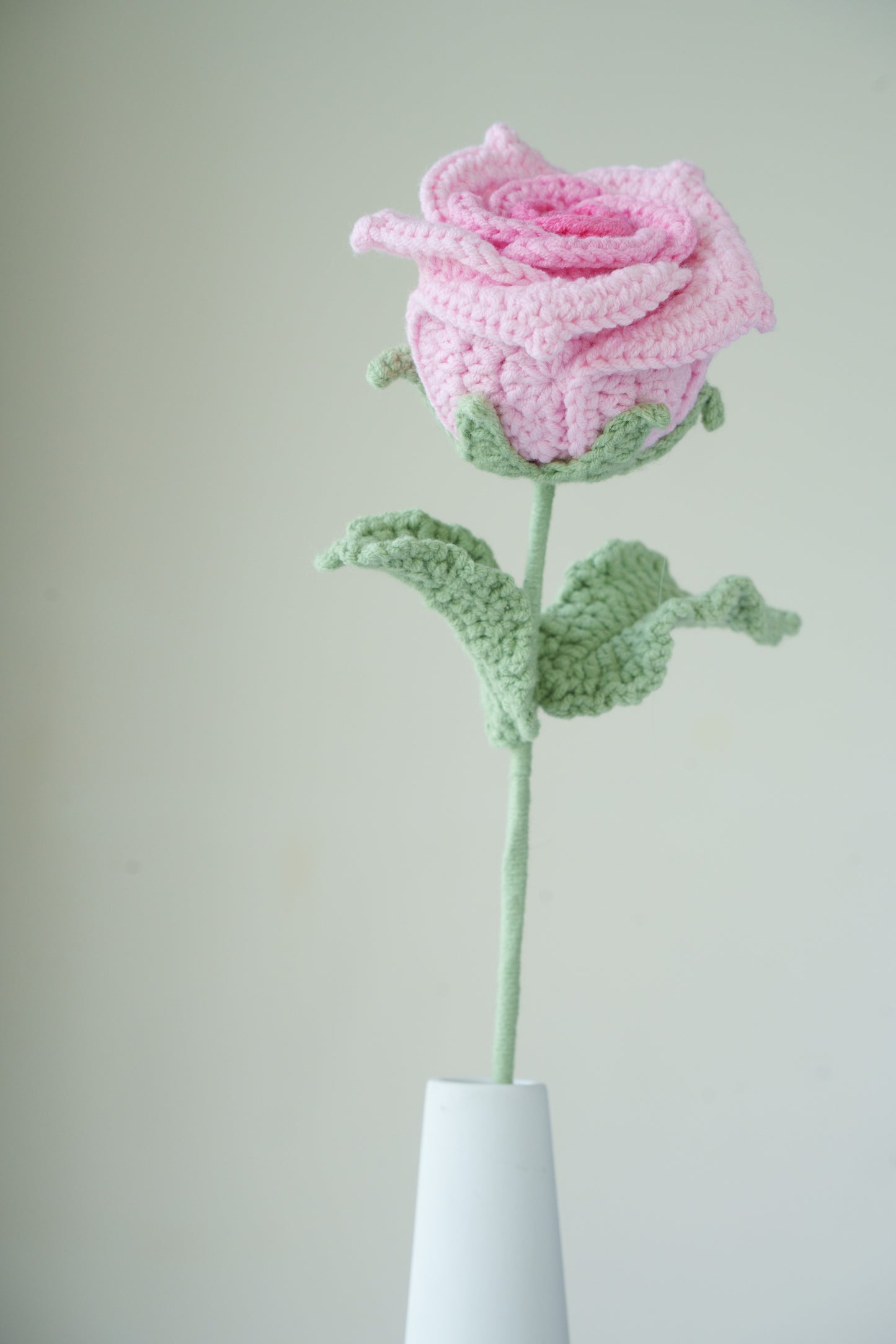 pink gradient thai rose