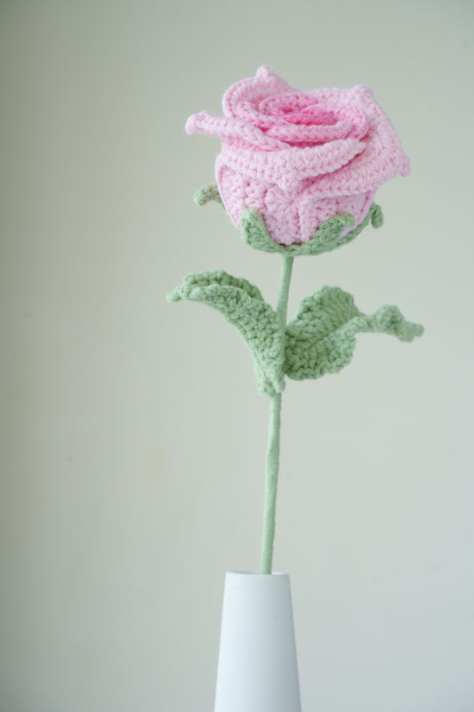pink gradient thai rose