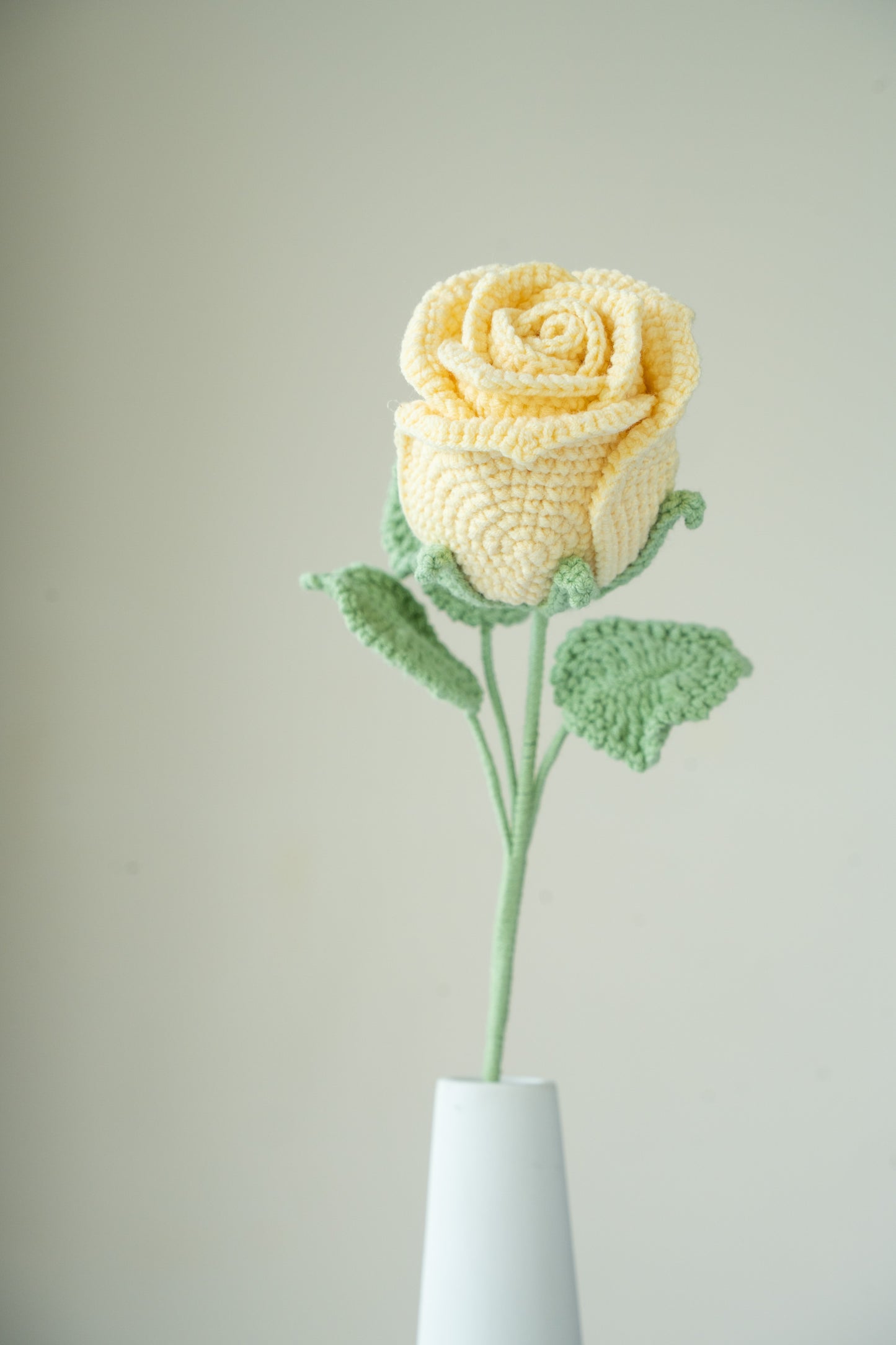 yellow rose