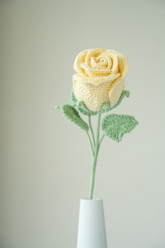 yellow rose