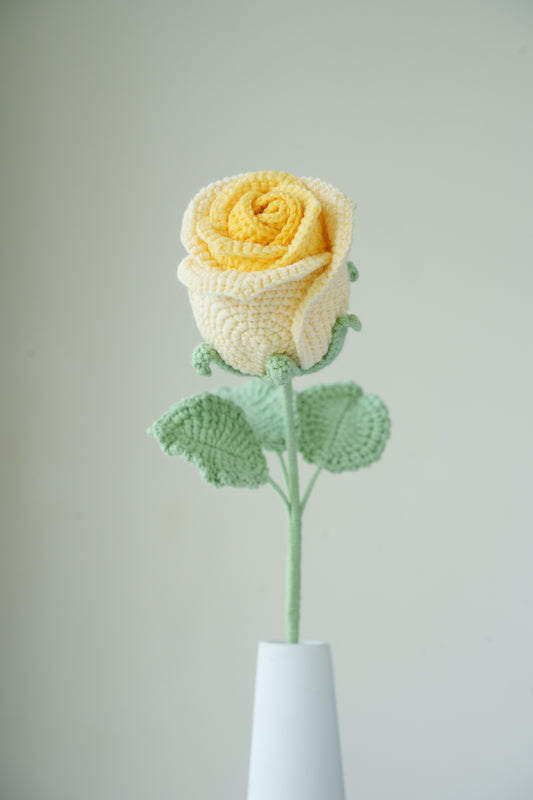 ombre yellow rose