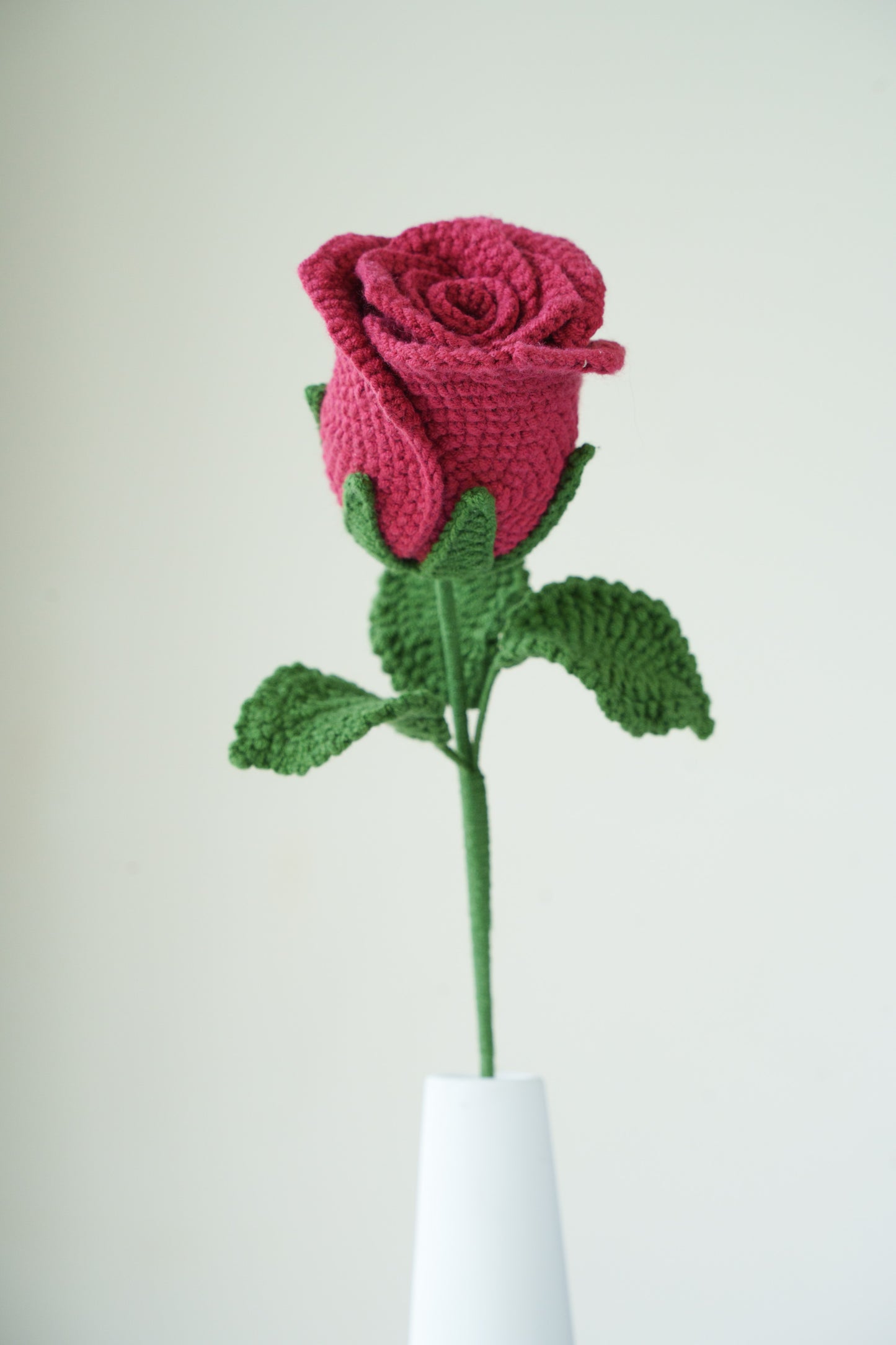 burgundy rose
