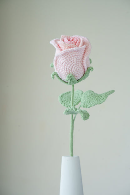 ombre pink rose