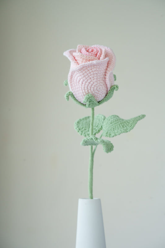 ombre pink rose