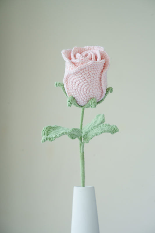 pink rose