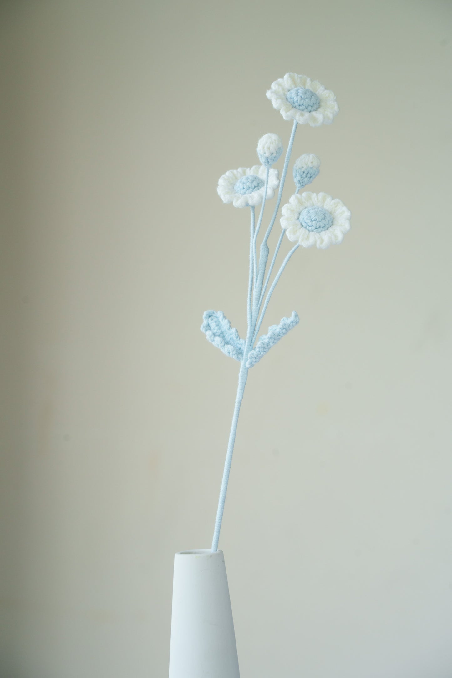 blue daisy