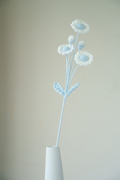 blue daisy