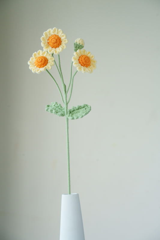 yellow and orange daisy