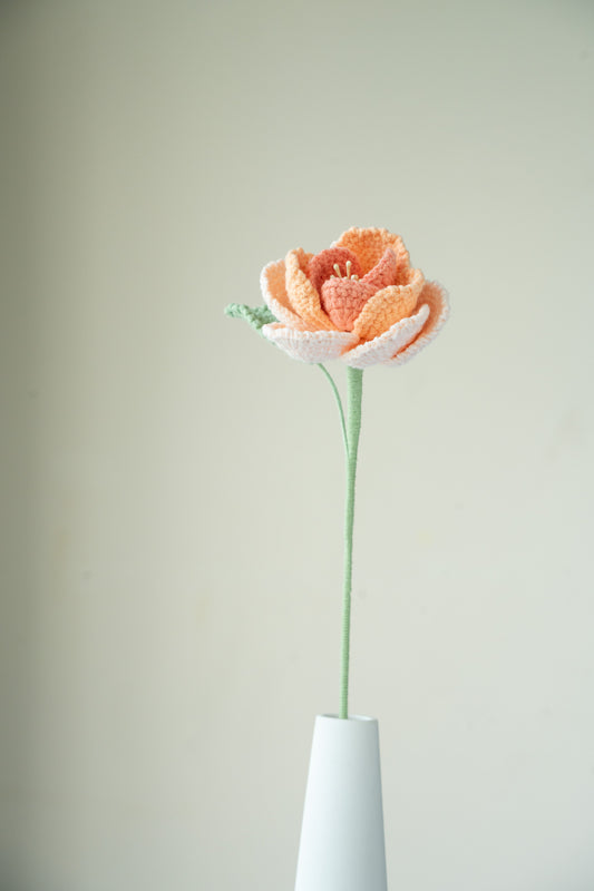 Orange French Rose