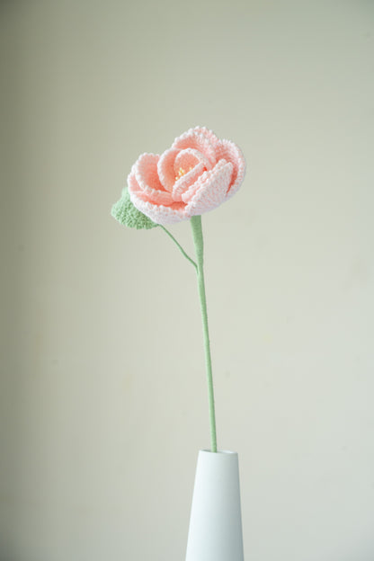 Pink French Rose