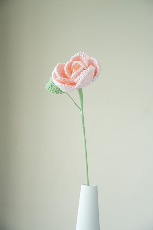 Pink French Rose
