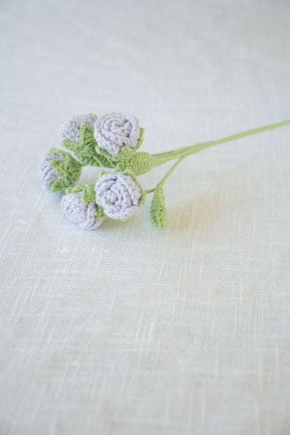 Purple Spray Rose