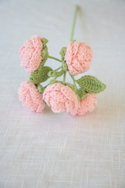 Pink Spray Rose