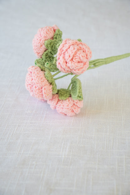 Pink Spray Rose