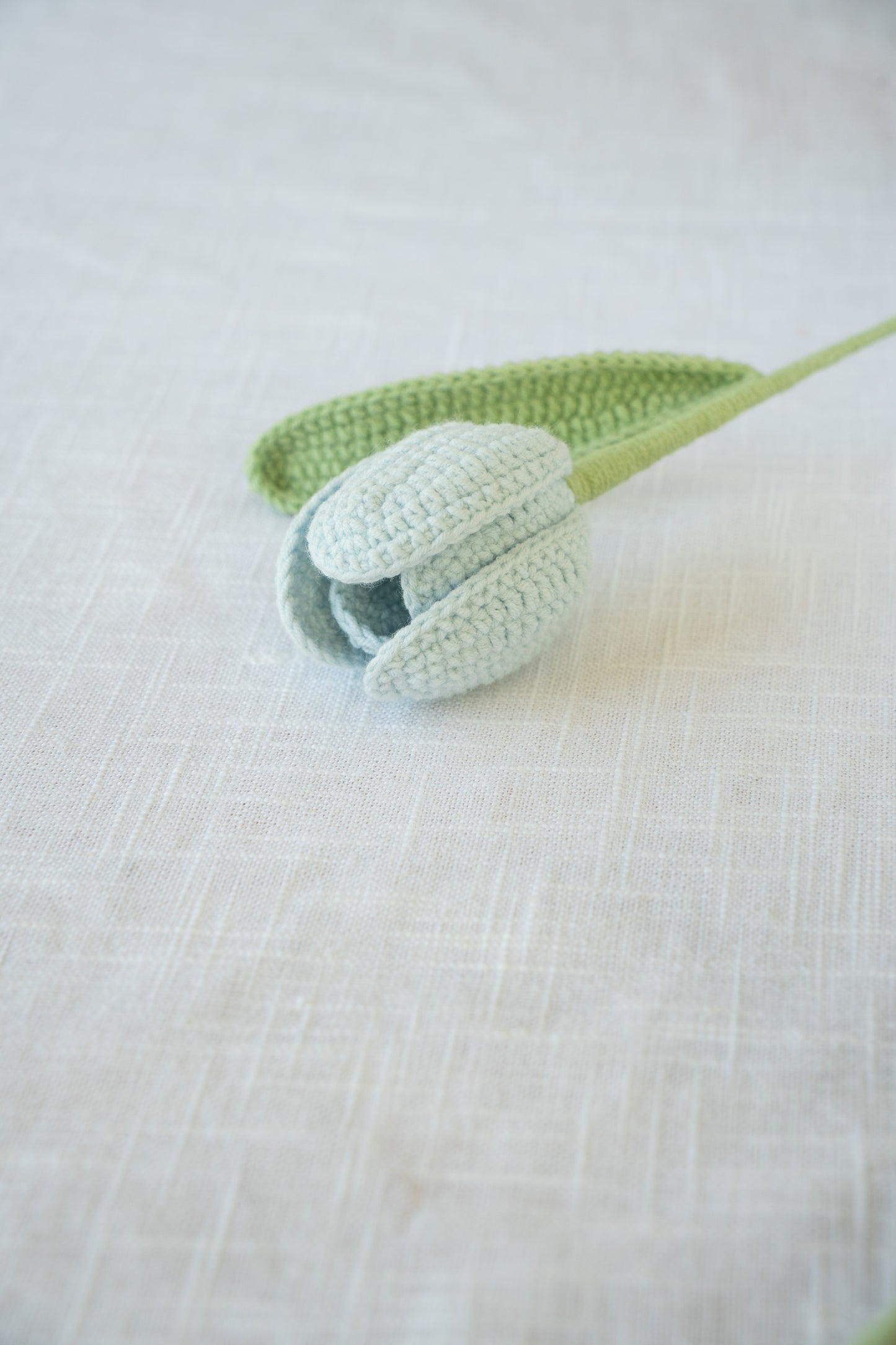 Blue Tulip