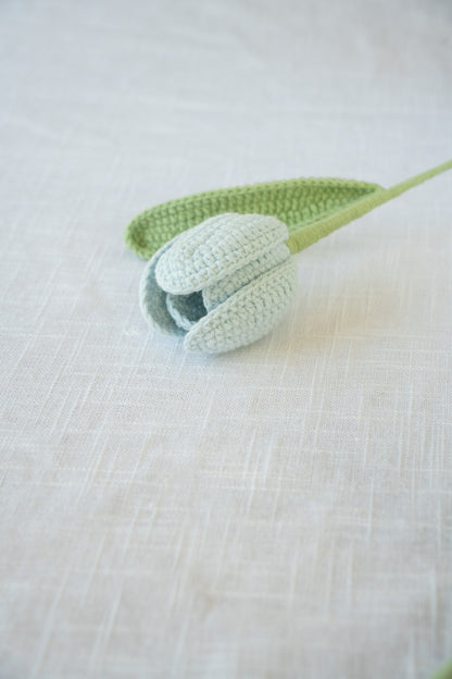 Blue Tulip