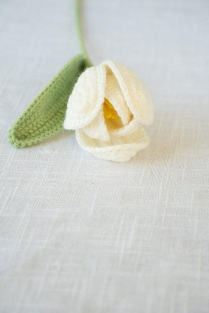 White Tulip