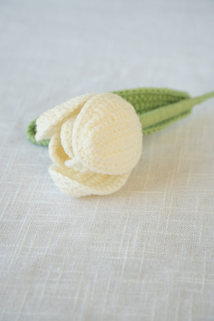 White Tulip