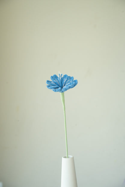 Dark Blue Lewisia