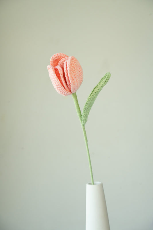Pink Tulip