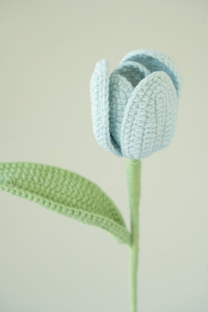 Blue Tulip