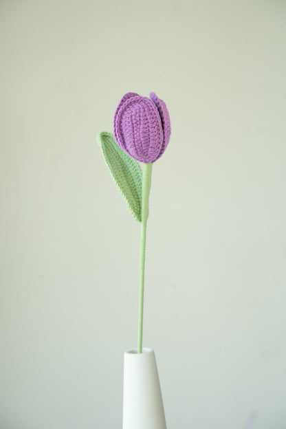 Purple Tulip