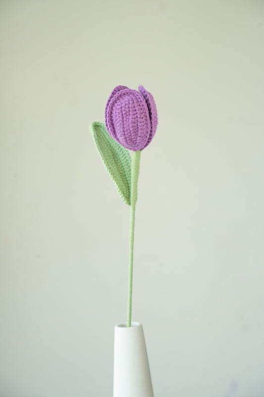 Purple Tulip