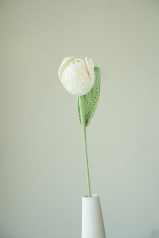 White Tulip