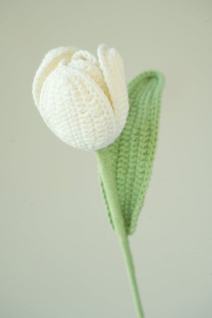 White Tulip
