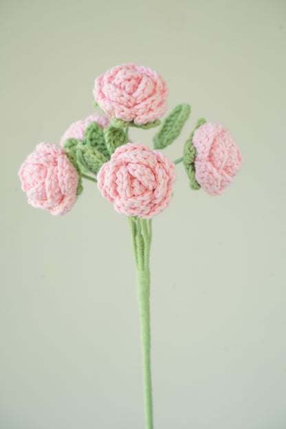 Pink Spray Rose