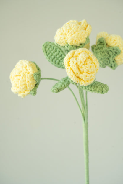 Yellow Spray Rose