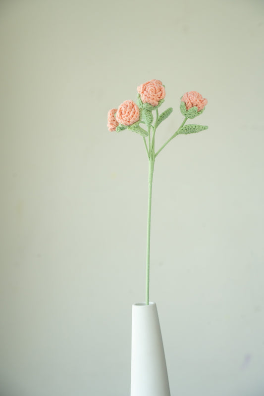 Peach Pink Spray Rose