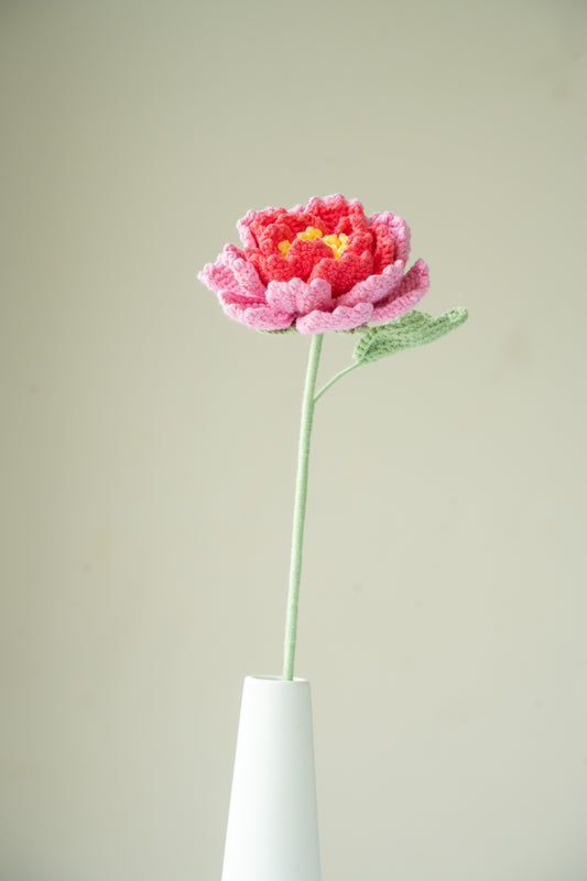 Hot Pink Peony
