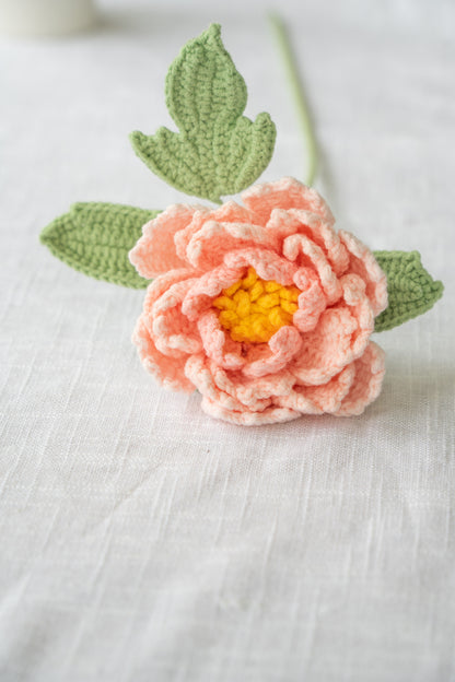 Light Pink Peony