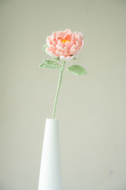 Light Pink Peony