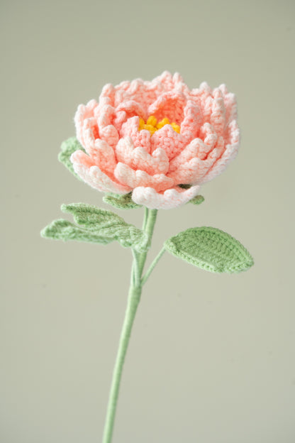 Light Pink Peony