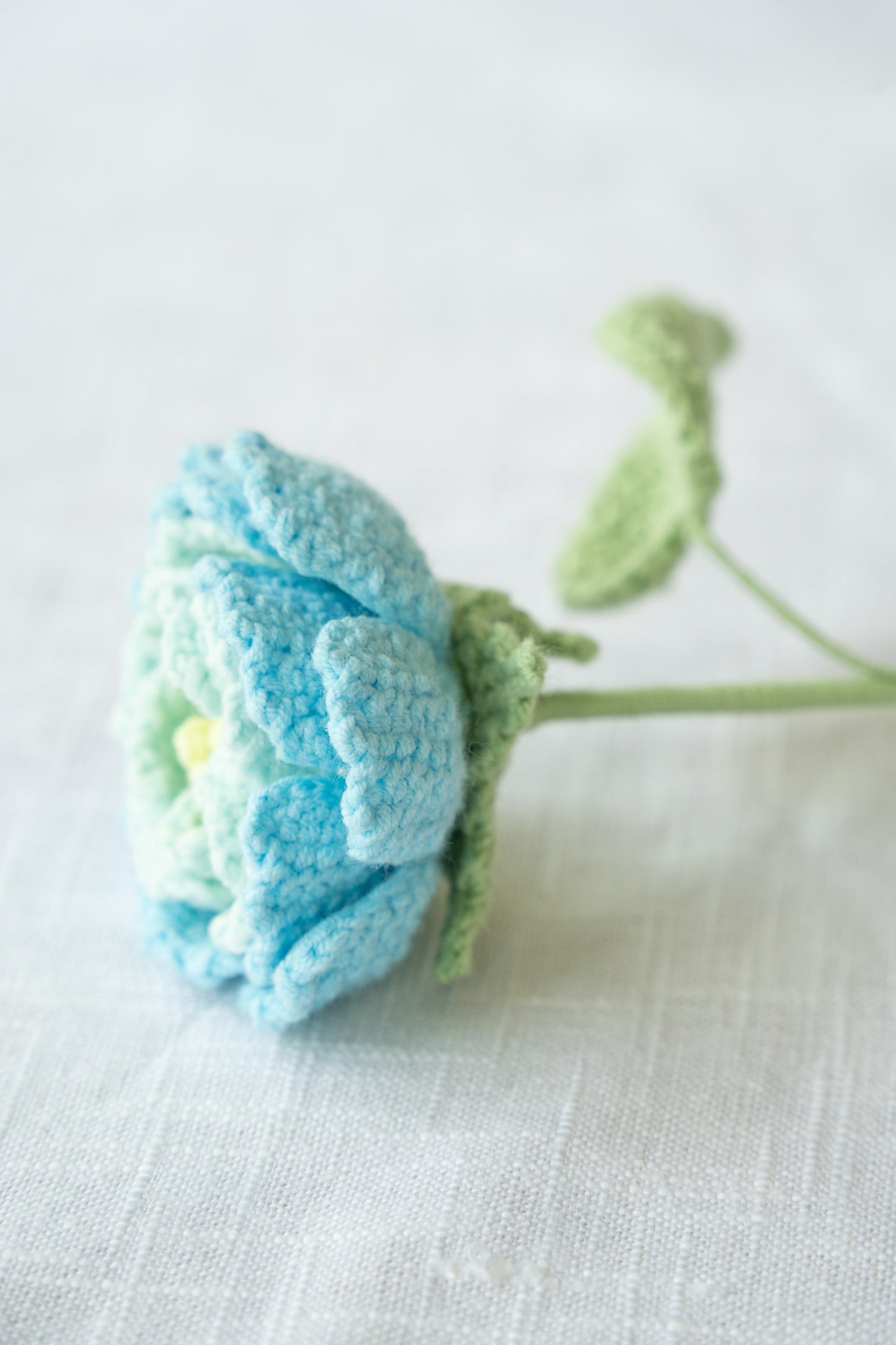 Blue Peony