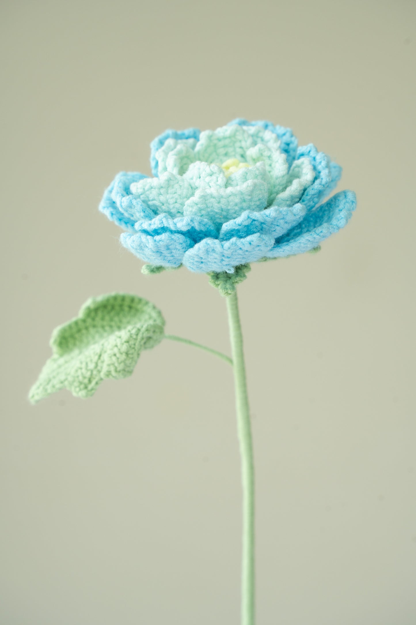 Blue Peony