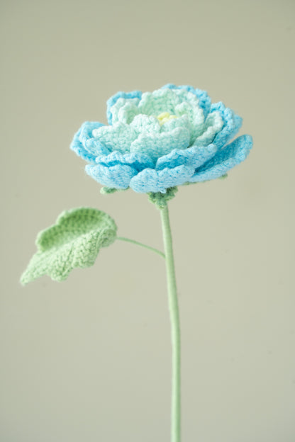 Blue Peony