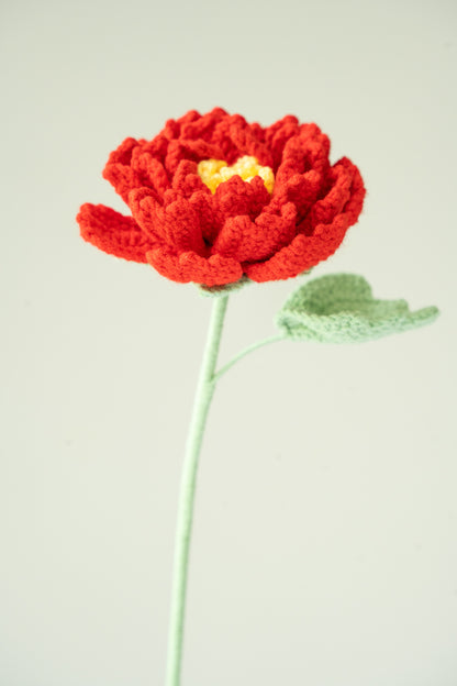 Red Peony